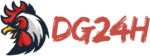 DG24H.COM